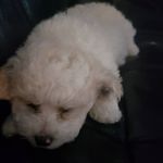 siu pun yau - @siupunyau_ - Instagram