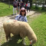 SiuPo Chan - @siupo_chan - Instagram