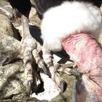 Siv Tang - @sivtang - Instagram