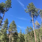 Marie Robin - @skeeter_davis - Instagram