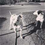 Scott Fransee - @skeeter_davis_04 - Instagram