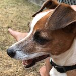 Skeeter Davis - @skeeterbdavis - Instagram