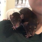 Skeeter Davis and Patsy Cline - @skeeter_and_patsy - Instagram