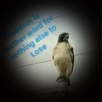 Skeeter Lee Davis - @515batman420 - Instagram
