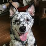 Skip Anderson - @skip_andrsn - Instagram