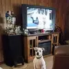skipbaker979 - @skipbaker979 - TikTok