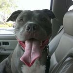 Skip Collins - @xskip1 - Instagram