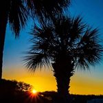 Skip Lewis - @skiplewis16 - Instagram