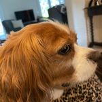 Skip Miller - @skip3832 - Instagram