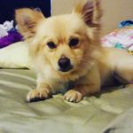 Skip Mitchell Estes - @skipmitchell07 - Instagram