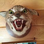 Skip Murphy - @skip.murphy2 - Instagram