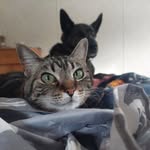 Skip Murphy - @saskskippy - Instagram