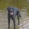Paul Skip Hunter - @paul.skip.hunter - TikTok