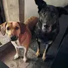 PaulneinundOtti - @skippaulundotto - TikTok