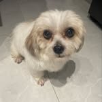 squishy - @skip_pauline - Instagram