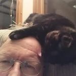 Skip Williams - @skyppere - Instagram