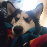 Sky Camacho - @skyybluecamacho - Instagram