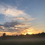 Sky Croft - @skytreecroft - Instagram