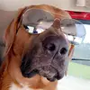 sky dayton - @scoobydoothor - TikTok