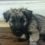 bertta - @skye_bertta - Instagram