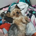 skye - @skye.bertoldi.3 - Instagram