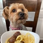Skyeberta - @skye.delphine - Instagram