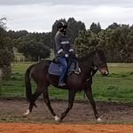 @skyebertrand2020 - Instagram