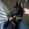 Skye - @skye.green08 - TikTok