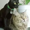 philogunterlunasky - @philogunterlunasky - TikTok