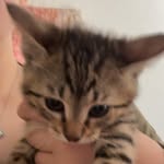 Sky Gunter Dascotte - @skylove_333 - Instagram