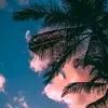Sky Hernandez - @sky.hernandez - TikTok