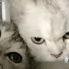 Sky Hernandez - @sky.hernandez06 - TikTok