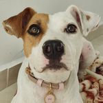 Sky Lane - @sky_exploradora - Instagram
