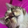 Sky - @skylewis66 - TikTok