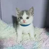 น้องสกายค้าบบ - @littlesky365 - TikTok