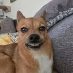 Sky - @sky_little_world - Instagram