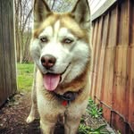skyanne - @skylittle46 - Instagram