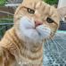 Sky Liu - Facebook