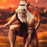 Sky Malik - @sky.malik.9081 - Instagram