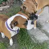 mason - @mason.sky2 - TikTok