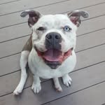 Sky Mason - @skydogmason - Instagram