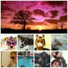 sky morgan - @skyprincesspop21 - TikTok