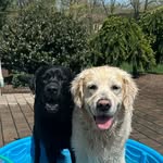Skyyy - @_sky_murphy_ - Instagram