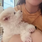 Sky Nguyen - Facebook