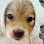 Sky Nguyen - Facebook