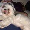 Sky_Nguyen - @sky__nguyen - TikTok