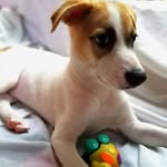 sky - @sky_ochoa12 - Instagram