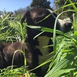 Sky Oliver - @sky_oliver_1 - Instagram