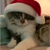 GABRIELLESKYPAGAN - @gabrielle.sky6 - TikTok