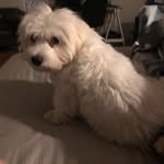 2019_Sky - @sky_parker_mcgarvey - Instagram